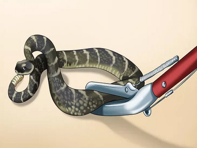 Chiêm bao thấy rắn bị chết mang ý nghĩa như thế nào?